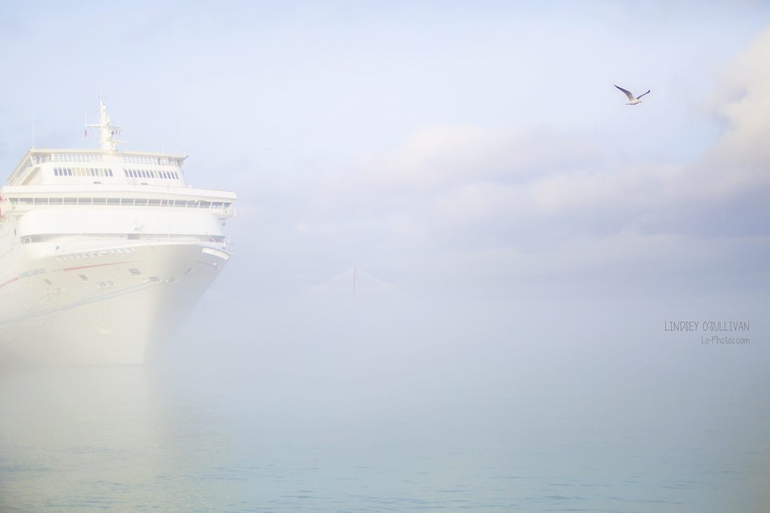 Thick fog rolling over Charleston's harbor at water level
