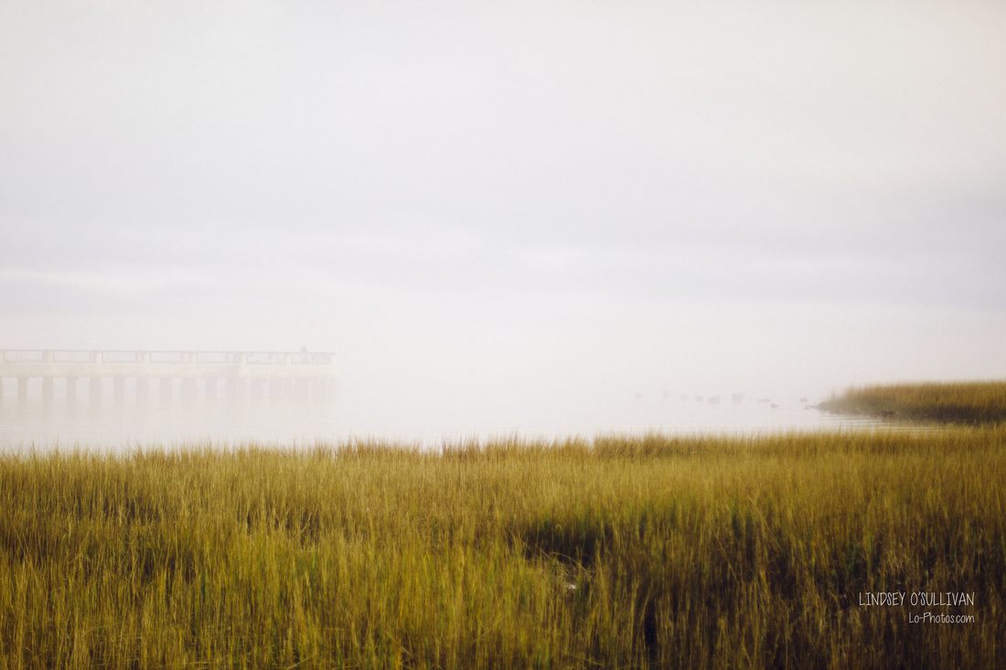 Cruise ship in Charleston harbor partially obscured by fog