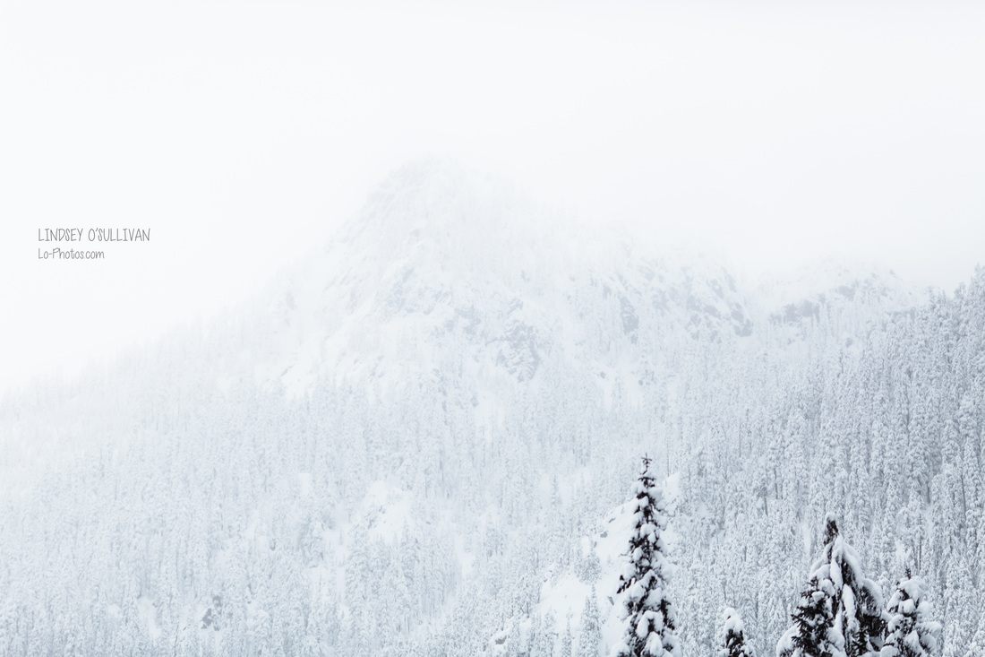 Snow-covered road through Snoqualmie Pass, Washington.