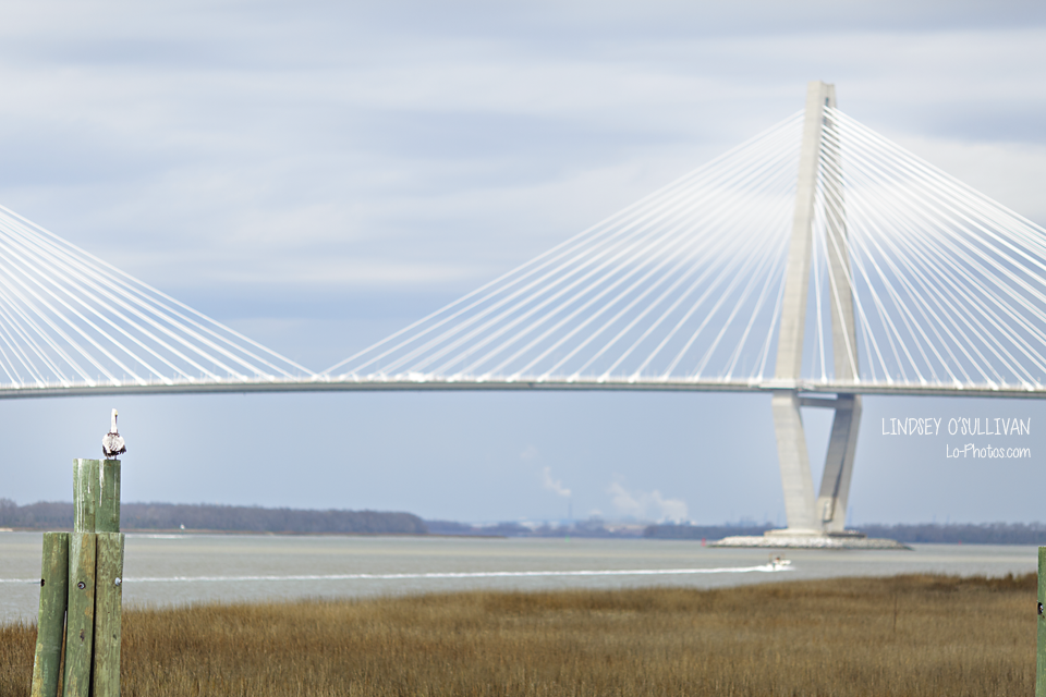 Charleston harbor view with the USS Yorktown and Ravenel Bridge