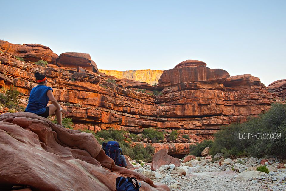 Hikers making their way down the desert trail into Havasupai, Arizona