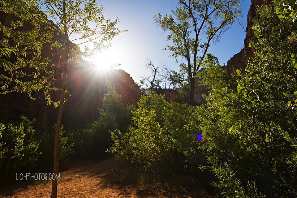 Group of friends hiking the canyon trail toward Havasu Falls