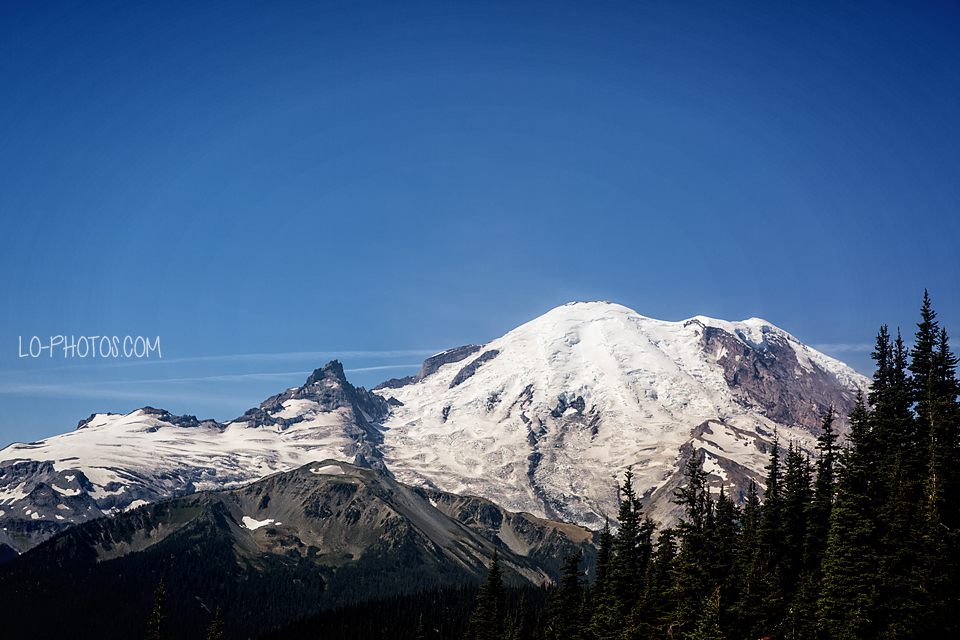 Misty view of Mt. Rainier National Forest during an August Washington road trip