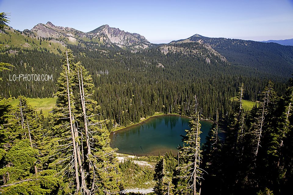 Forested trail through Snoqualmie National Forest