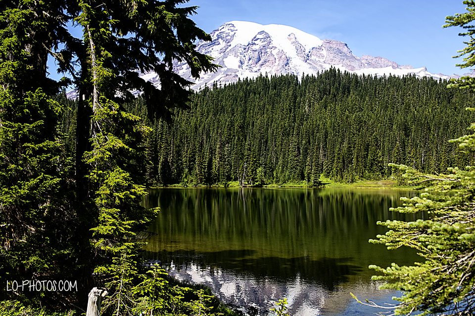 Forested trail through Snoqualmie National Forest