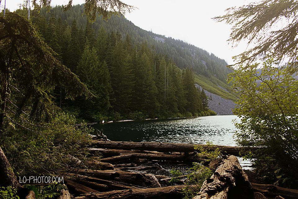 Forested trail through Snoqualmie National Forest