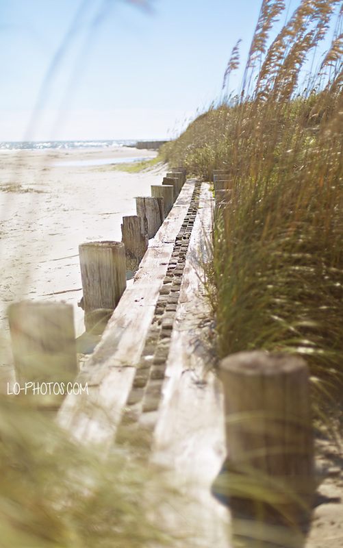 Golden hour light along the sand at Folly Beach, South Carolina
