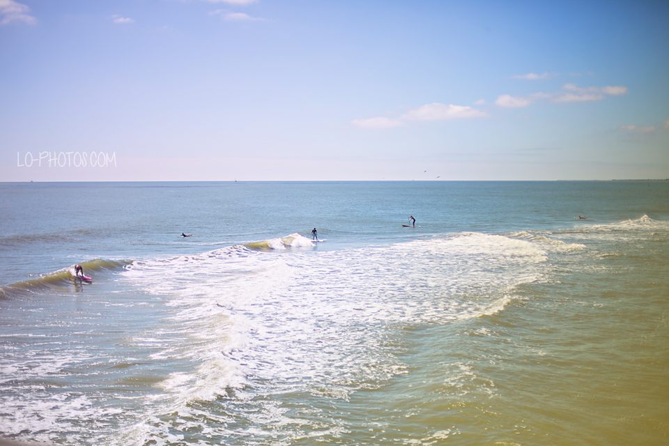 Golden hour light along the sand at Folly Beach, South Carolina