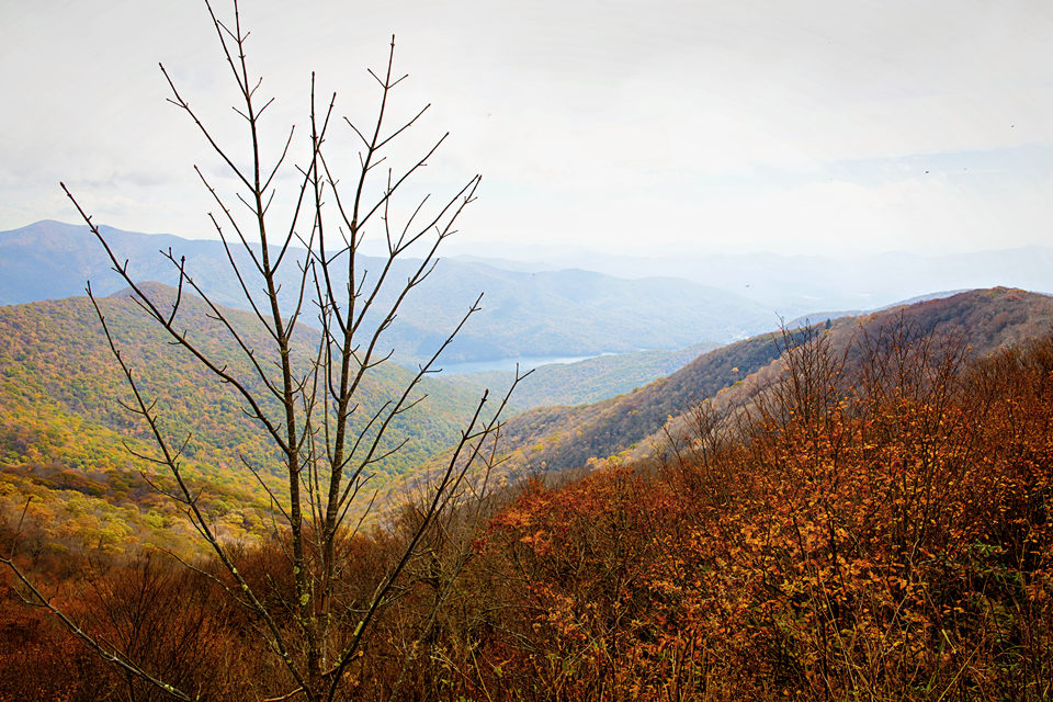 Blue Ridge Parkway mountain view along the Asheville trip