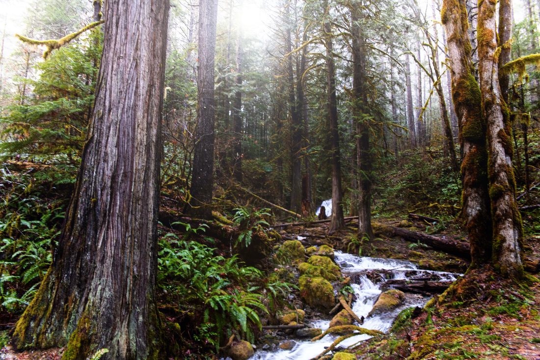 Pacific Northwest landscape photographed during a December road trip