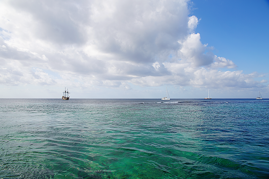 Stingrays swimming at Stingray City sandbar in Grand Cayman