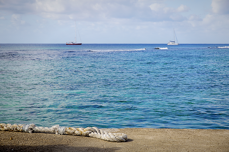 Snorkeling with sea turtles in the waters of Grand Cayman