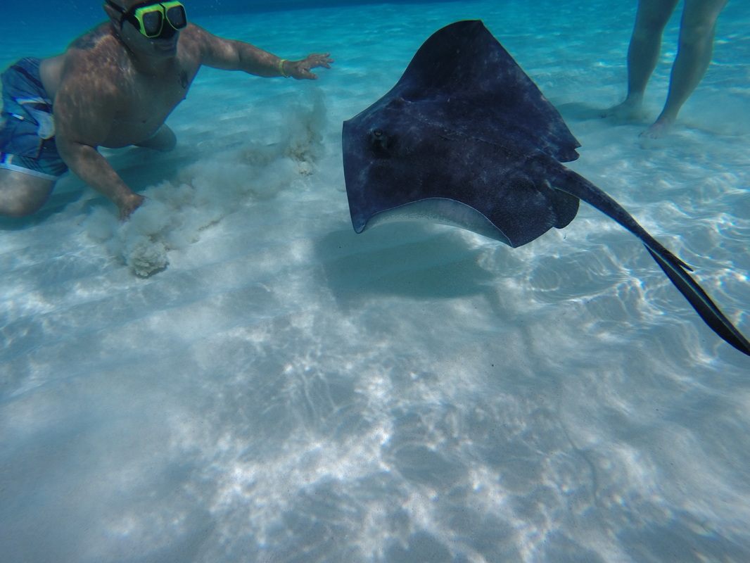 Standing waist-deep in the ocean at the Stingray City sandbar