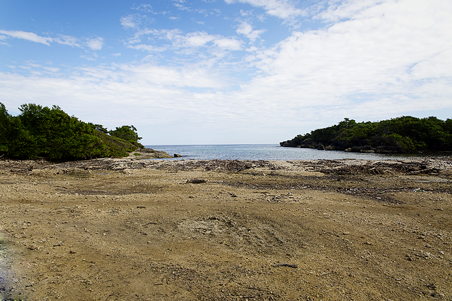 Horseback riding along the beach on the coast of Jamaica