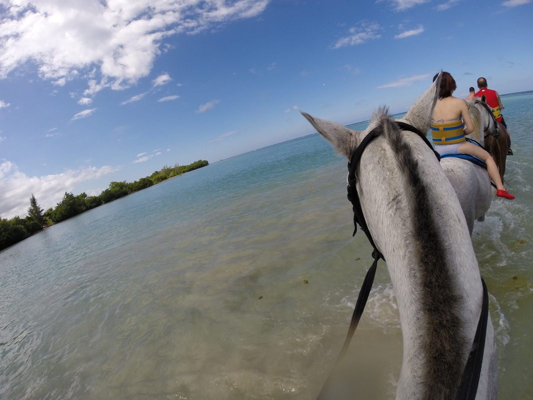Colorful street scene in Jamaica with local shops and everyday life