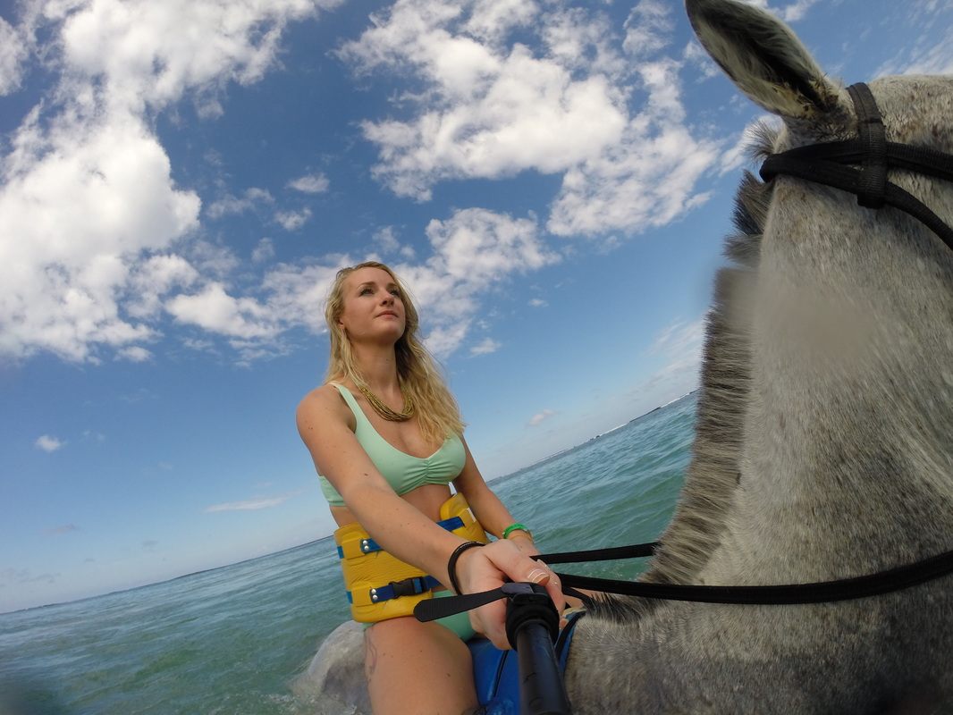 Horses splashing through the surf during a beach ride in Jamaica