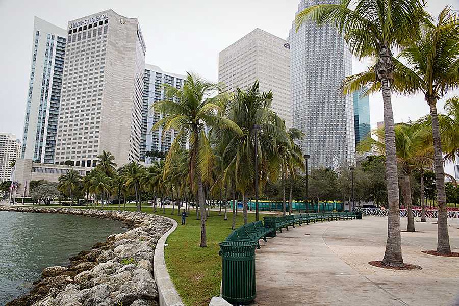 Aerial perspective of the Miami skyline meeting the ocean