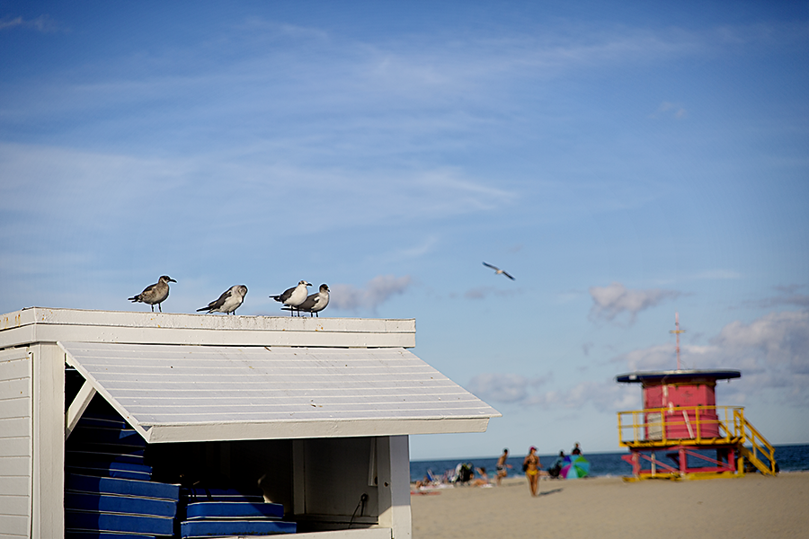 Art deco architecture along South Beach, Miami