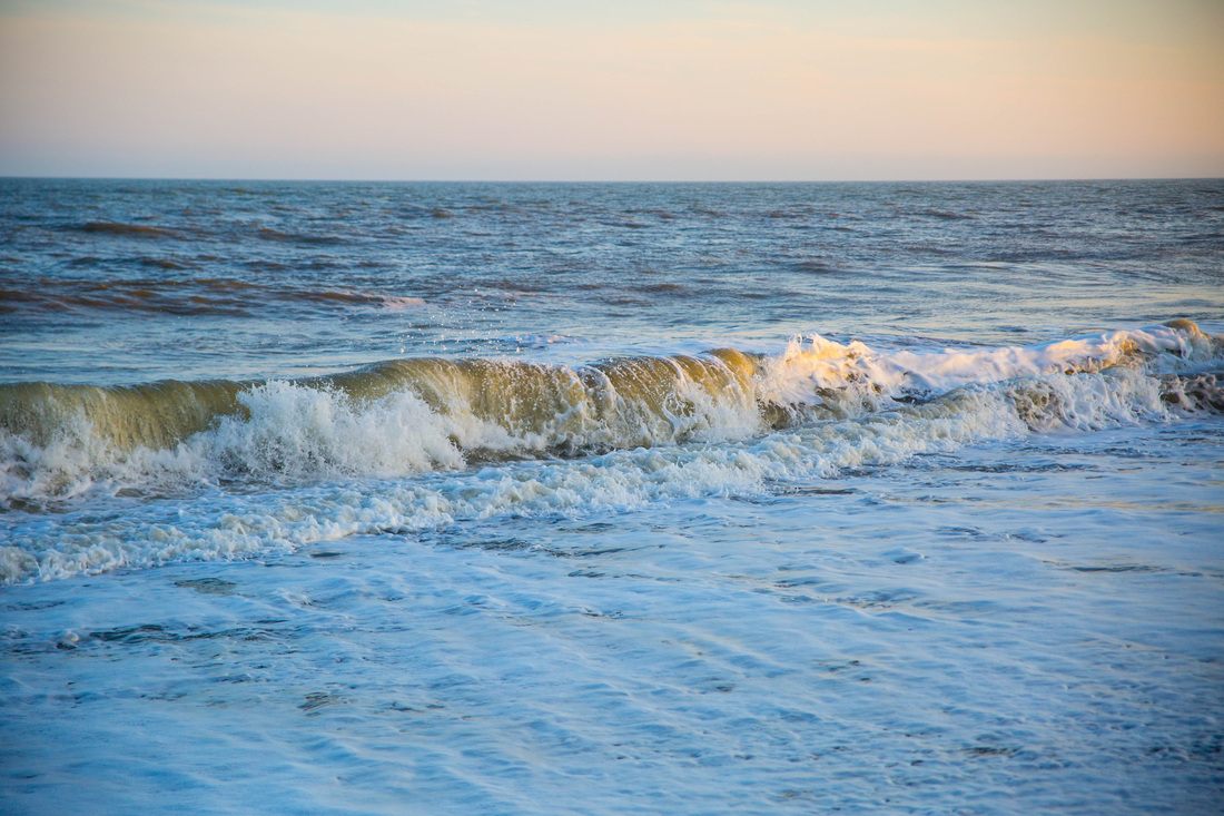 Photo of a quiet stretch of coastline in Edisto Island, South Carolina