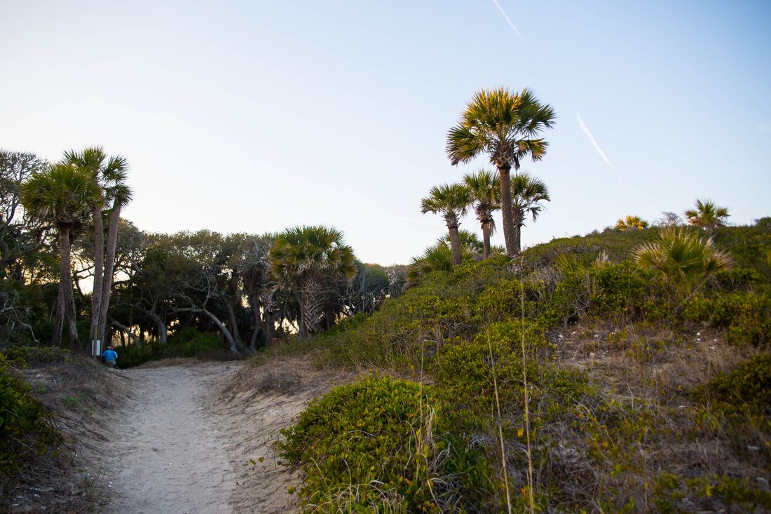 Photo of morning light over the dunes in Edisto Island, South Carolina