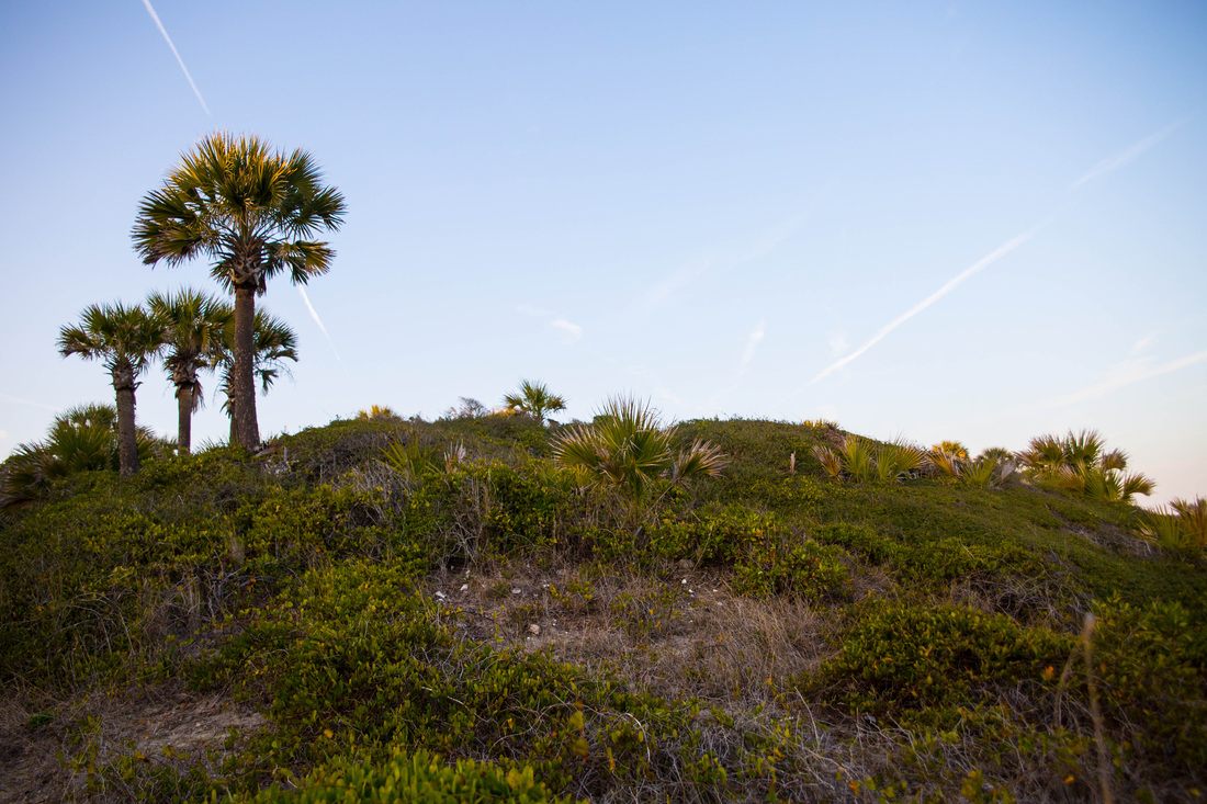 Photo of a close-up beach detail shot in Edisto Island, South Carolina