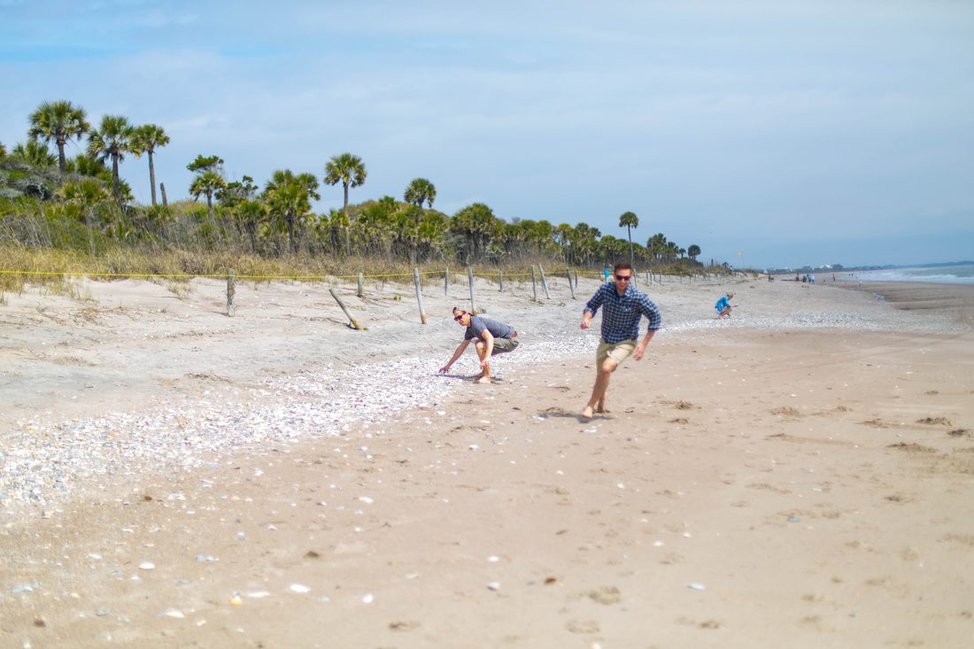 Photo of a quiet stretch of coastline in Edisto Island, South Carolina