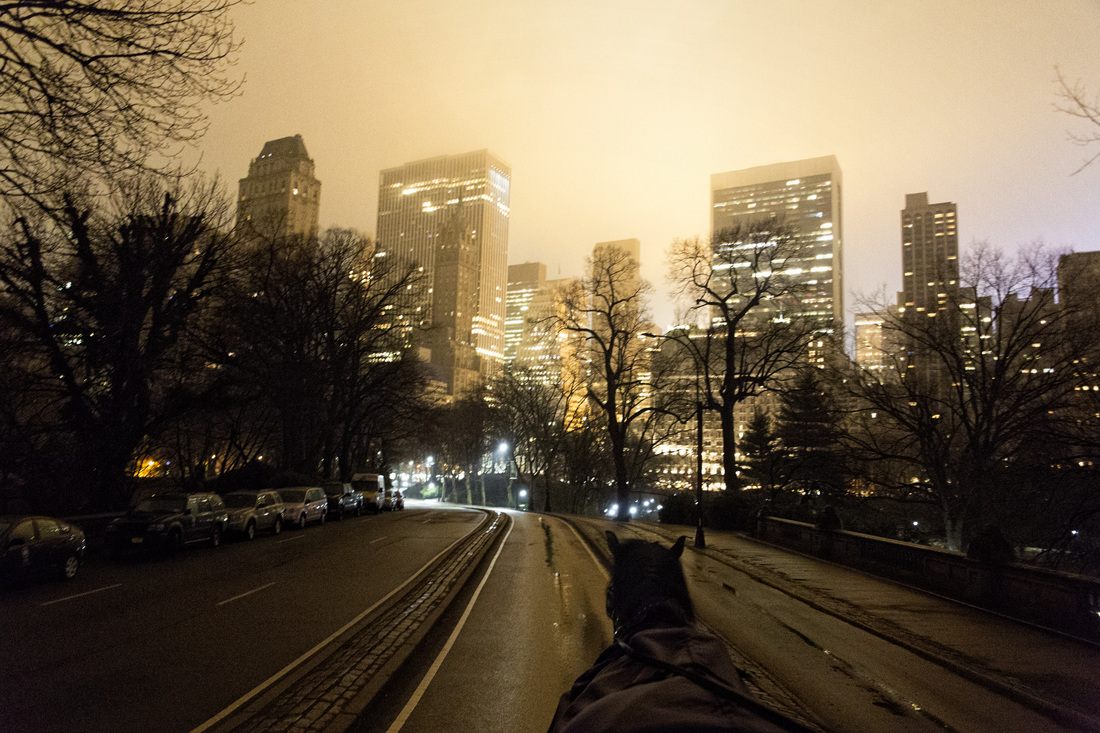 Central Park bridge or landmark in New York City