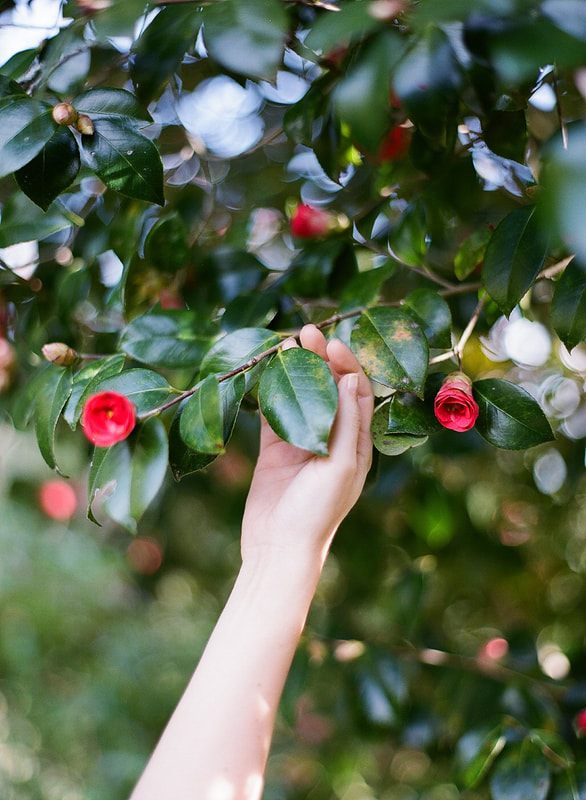 Bridal styled shoot beneath live oaks at Middleton Place, Charleston.