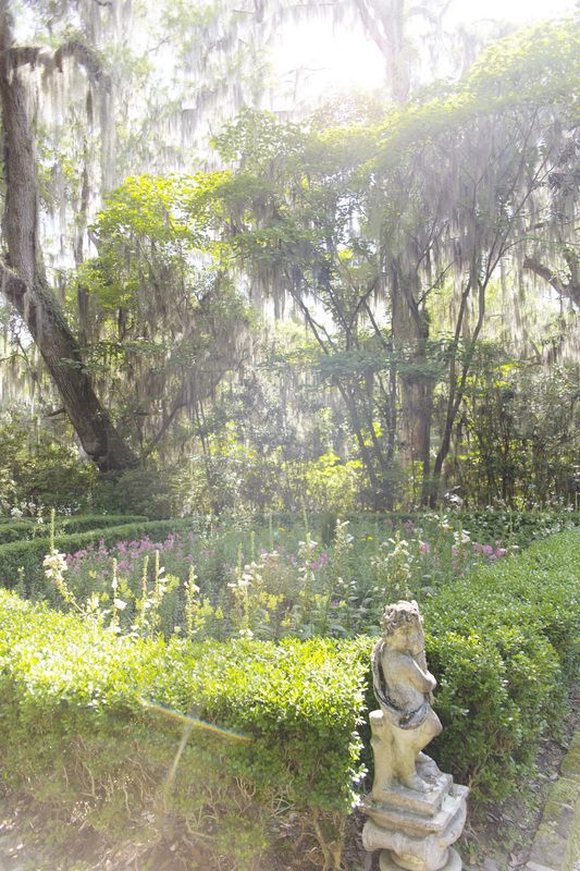 Natural garden beauty along the Ashley River at Magnolia Plantation