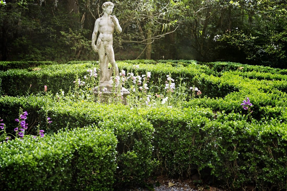 Blooming flowers along the grounds of Magnolia Plantation, Charleston