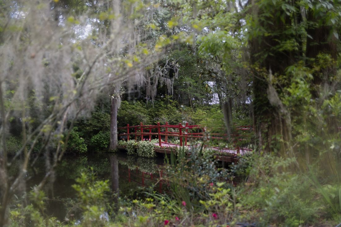 Southern garden scenery at Magnolia Plantation near Charleston, SC