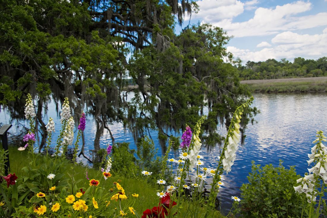 Winding garden path through Magnolia Plantation's grounds
