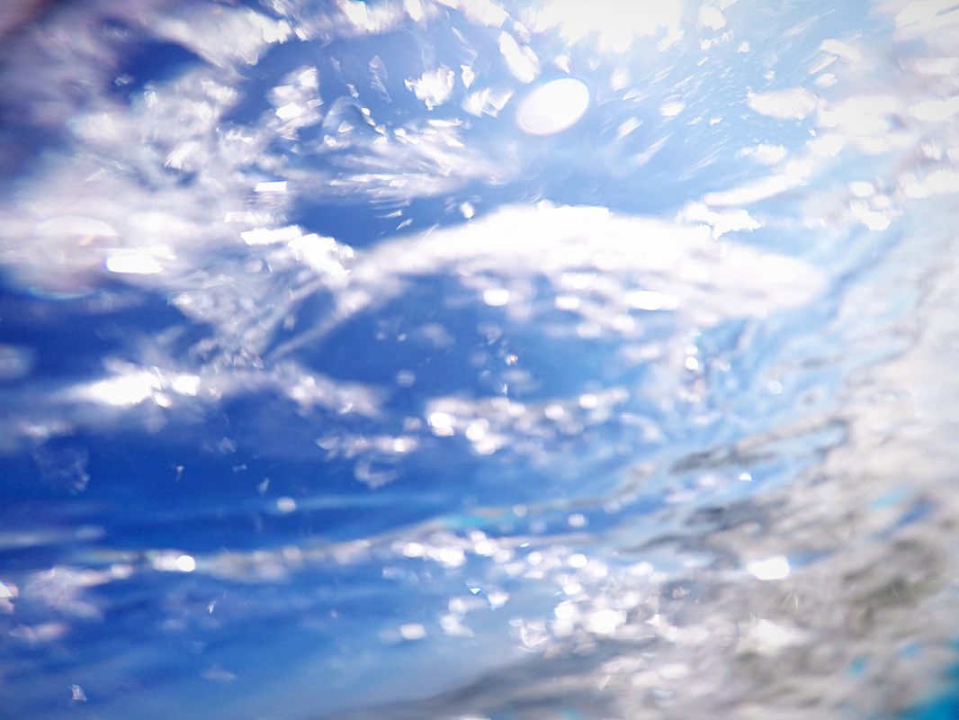 Body boarding action captured on a GoPro at Folly Beach, South Carolina