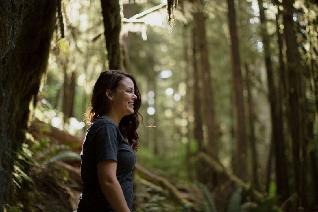 Hiking trail in the Olympic Mountains, Washington State