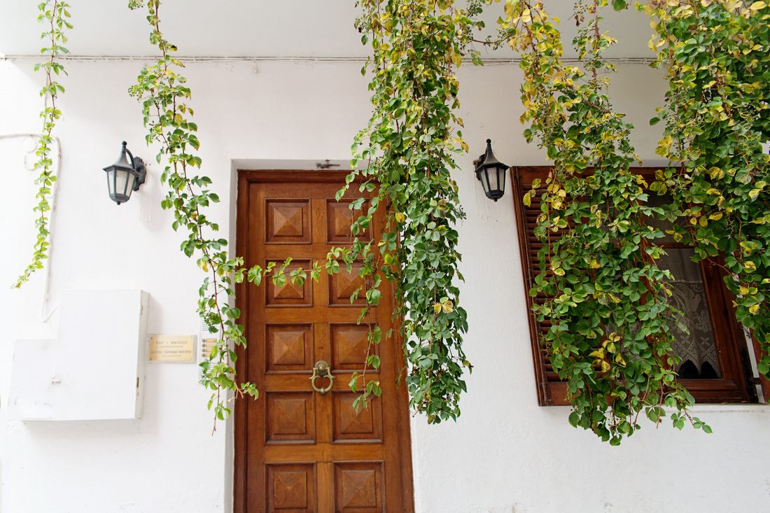 Whitewashed streets lined with pink flowering trees on Paros, Greece (another frame from the trip)
