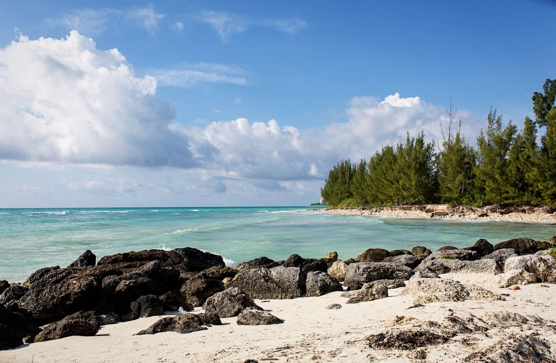 Coconut drink on the beach in Freeport, Bahamas