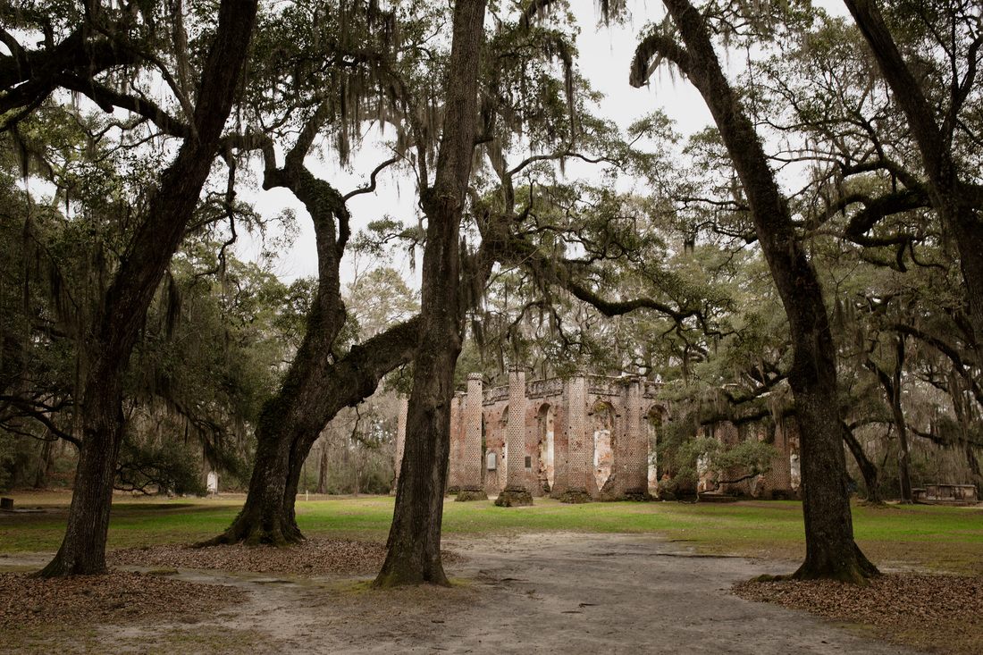 Spanish moss draped over live oaks in Beaufort, South Carolina.