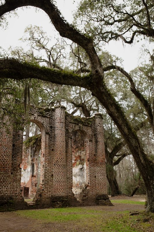 Quiet backroad through Sheldon, South Carolina's historic countryside.