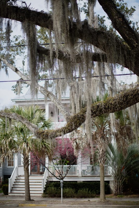 Travel photo of oak-lined streets in Beaufort, SC.