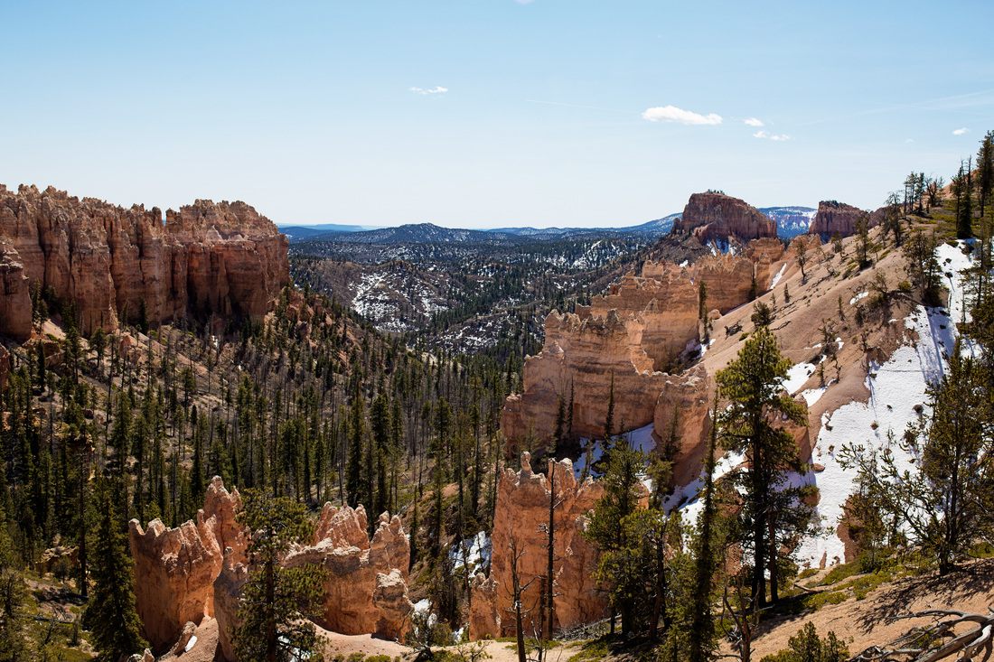 Hoodoo rock spires at Bryce Canyon National Park, Utah