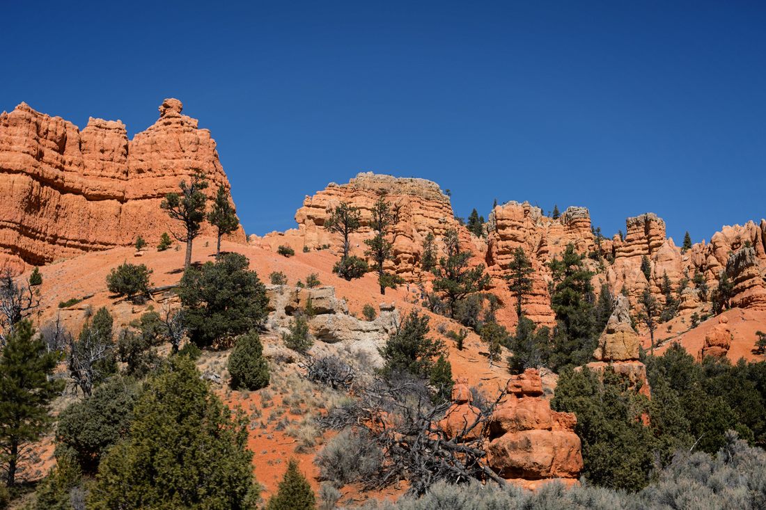 Orange and red hoodoos rising from the canyon floor at Bryce Canyon