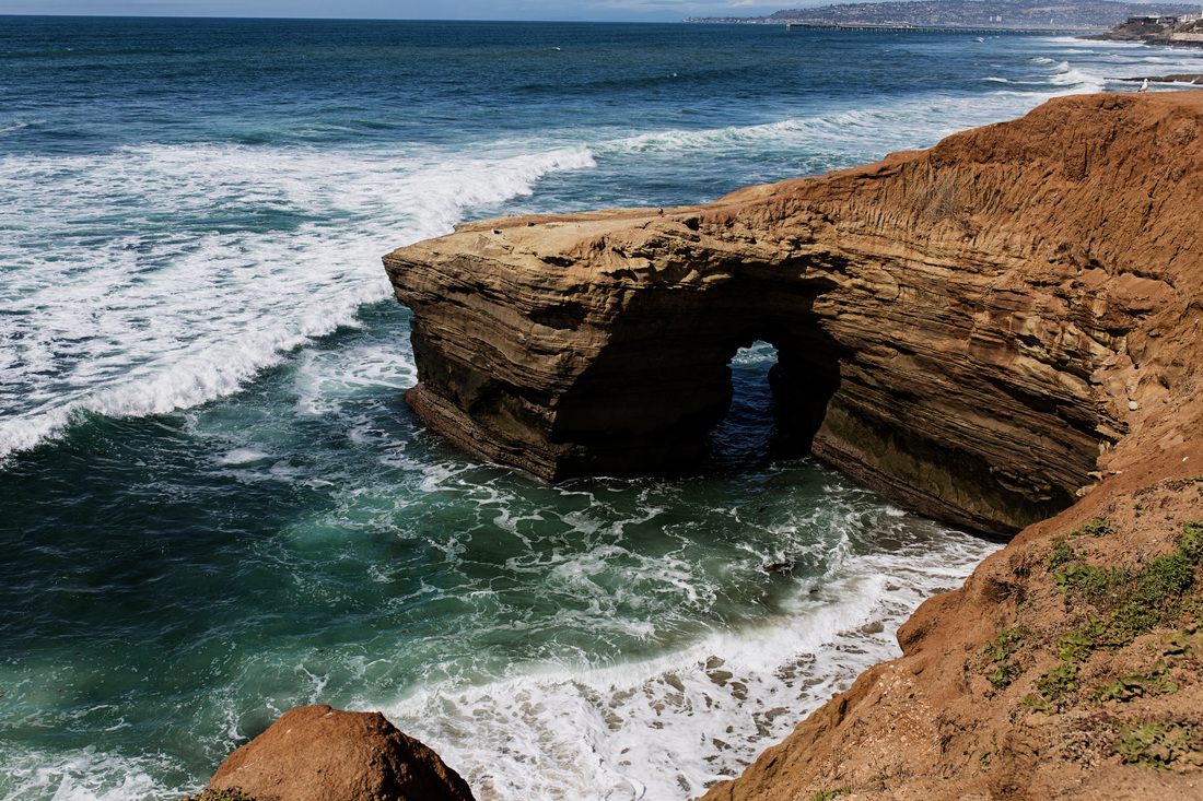 Sea lions resting on the rocks in La Jolla Cove