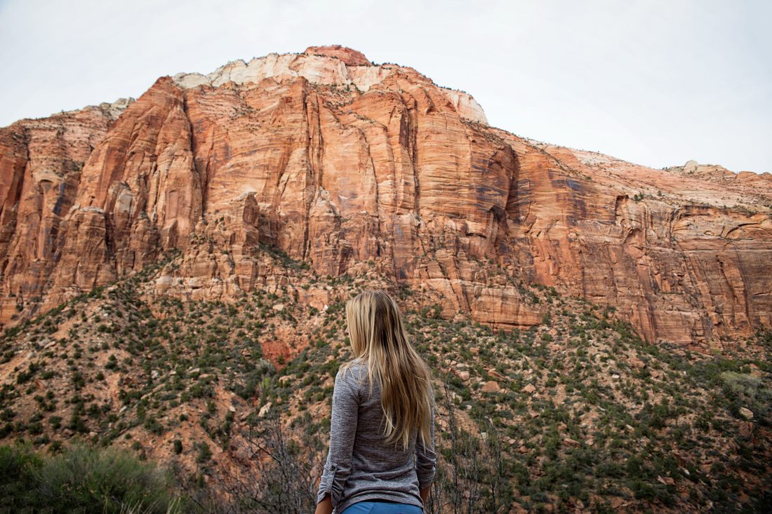 A wide view of Zion Canyon from one of the park's overlooks