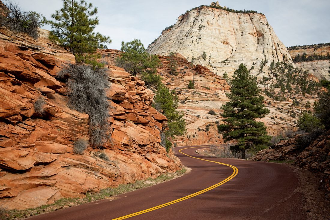Desert light hitting the canyon walls at Zion National Park