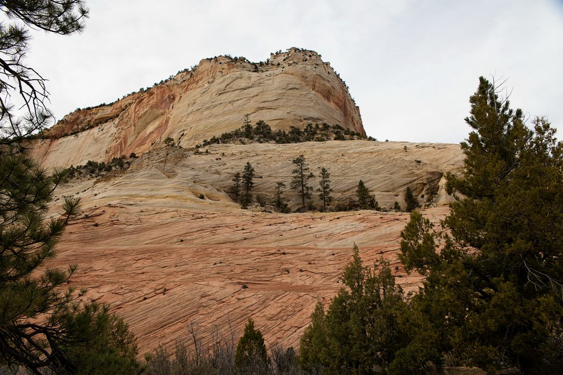 Towering canyon walls at Zion National Park, Utah