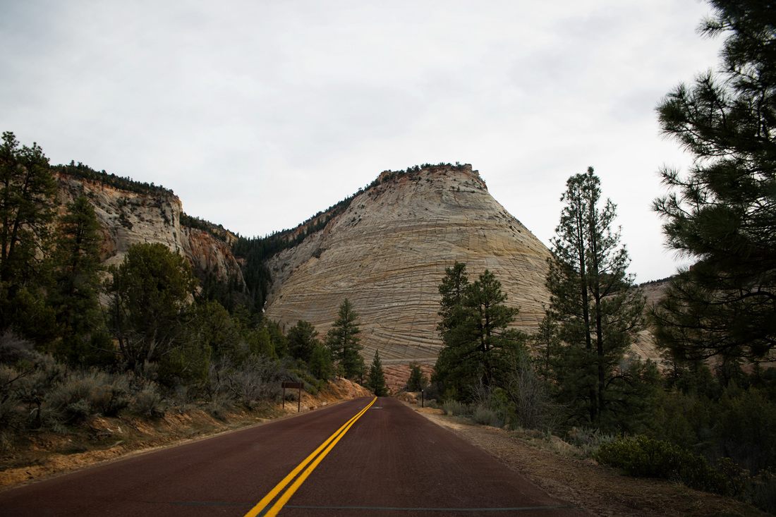 The Virgin River cutting through the valley floor at Zion National Park
