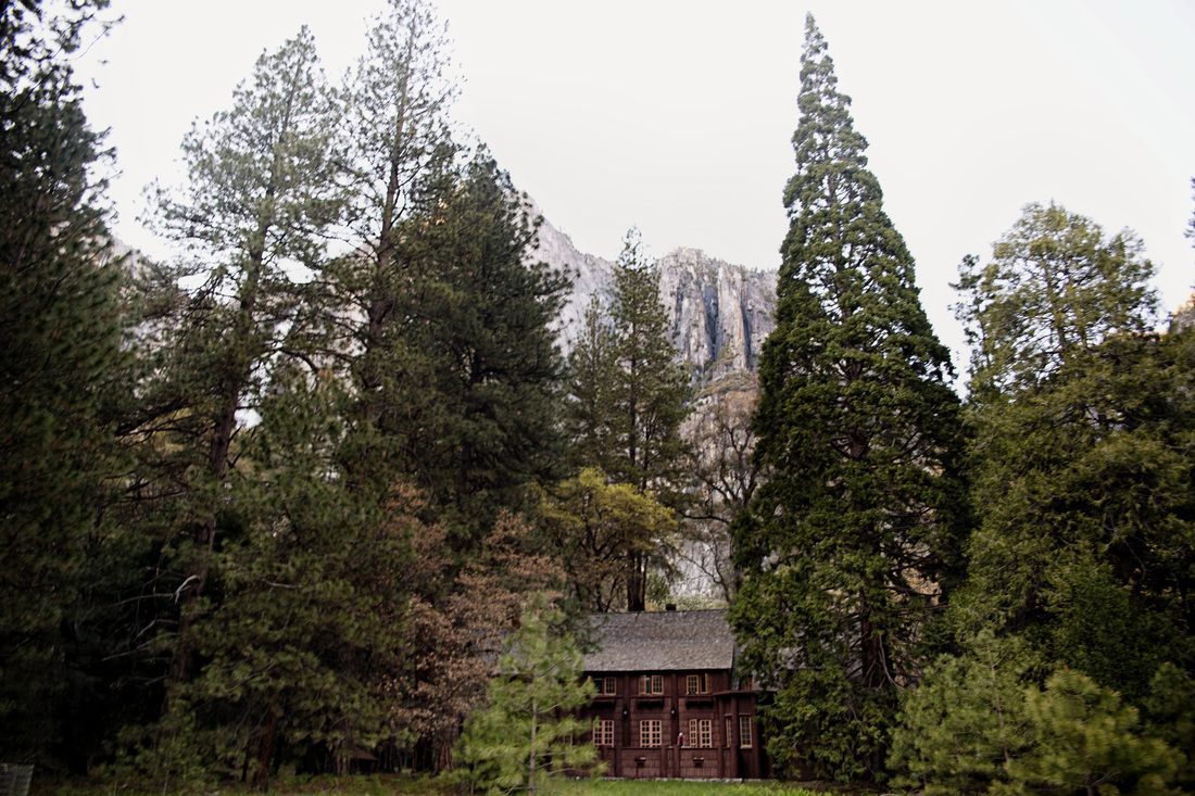 A scenic overlook of Yosemite Valley