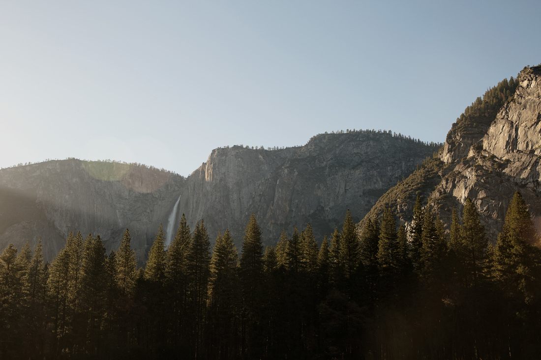 Sunlight filtering through the forest canopy in Yosemite