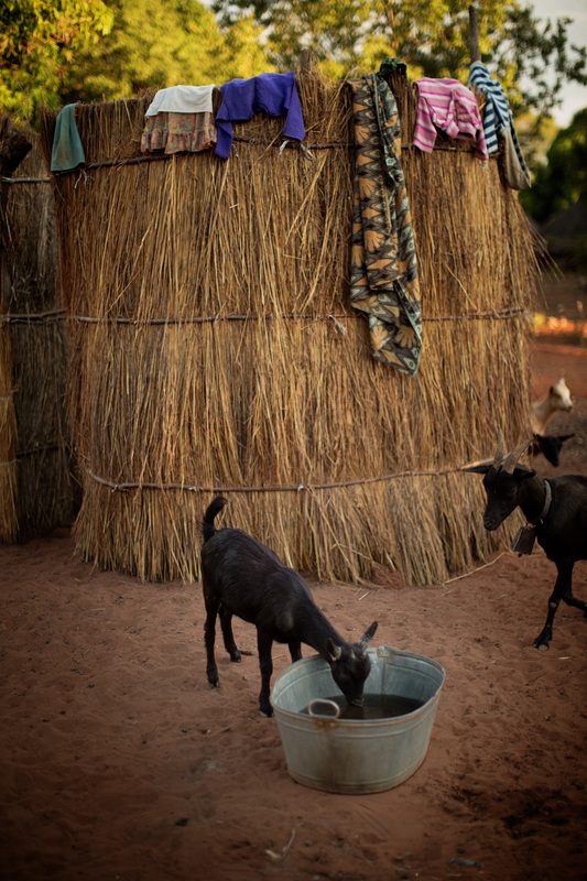 Villagers going about daily life in Chief Mukuni Village, Zambia