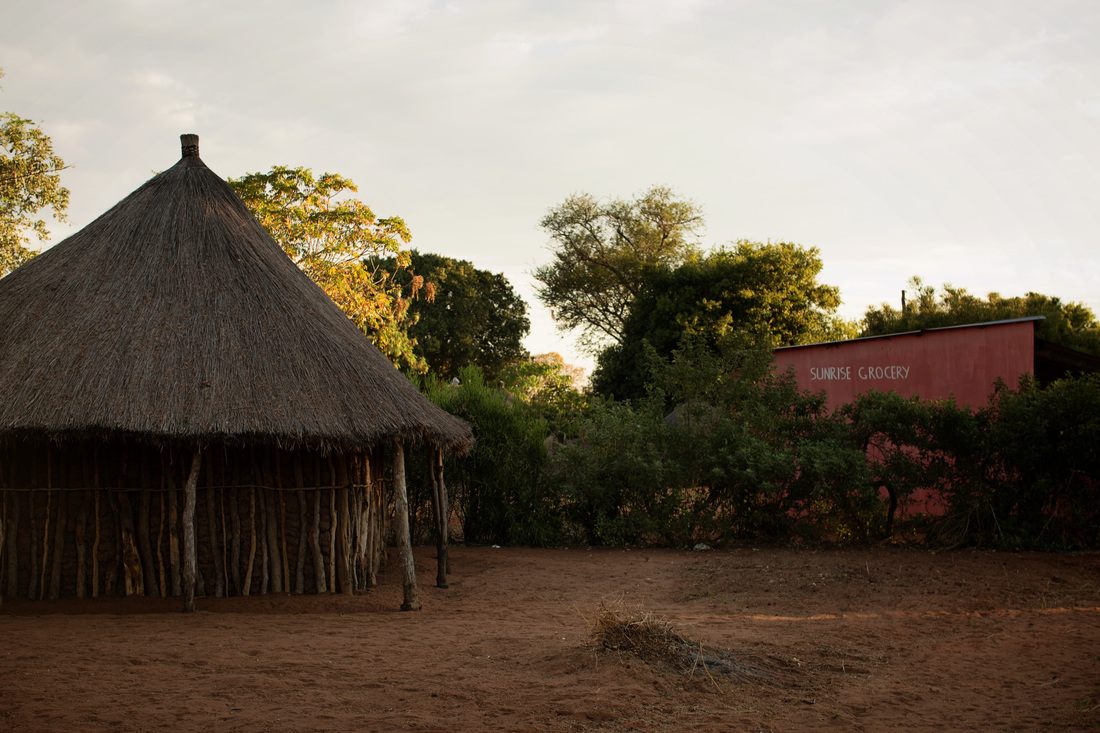 Goats grazing near the huts of Chief Mukuni Village